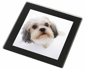 Cute Shih-Tzu Dog Black Rim High Quality Glass Coaster