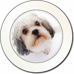 Cute Shih-Tzu Dog Car or Van Permit Holder/Tax Disc Holder