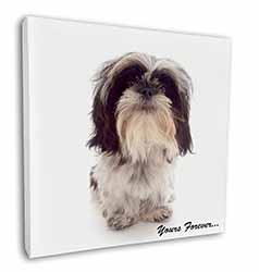 Shih Tzu Dog-Love Square Canvas 12"x12" Wall Art Picture Print