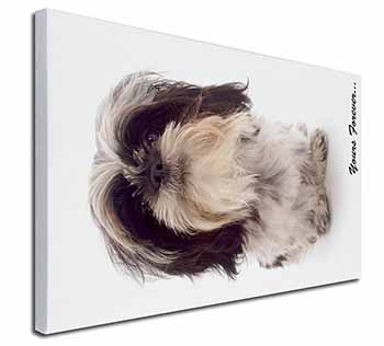 Shih Tzu Dog-Love Canvas X-Large 30"x20" Wall Art Print