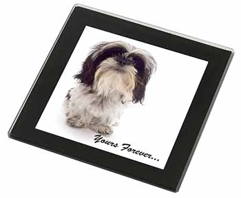 Shih Tzu Dog-Love Black Rim High Quality Glass Coaster