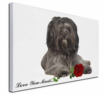 Tibetan Terrier+Rose 