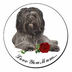 Tibetan Terrier+Rose 