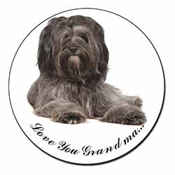 Tibetan Terrier 