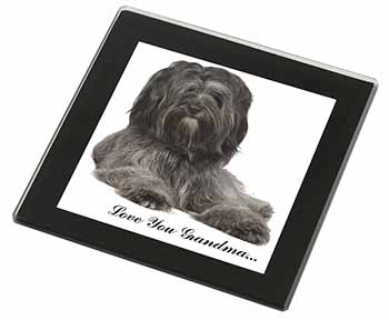 Tibetan Terrier 