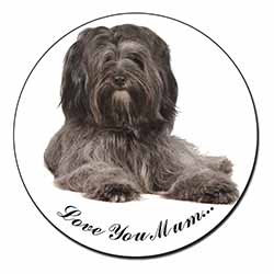 Tibetan Terrier 