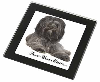 Tibetan Terrier 