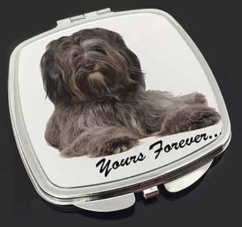 Tibetan Terrier 