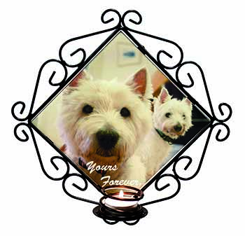 Westie Dog 