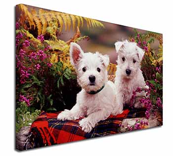 West Highland Terriers Canvas X-Large 30"x20" Wall Art Print