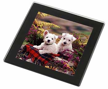 West Highland Terriers Black Rim High Quality Glass Coaster