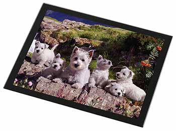 West Highland Terrier Dogs Black Rim High Quality Glass Placemat