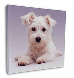 West Highland Terrier Dog Square Canvas 12"x12" Wall Art Picture Print