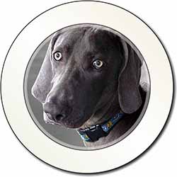 Weimaraner Dog  Car or Van Permit Holder/Tax Disc Holder