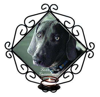 Weimaraner Dog 