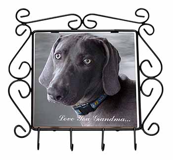 Weimaraner Dog 