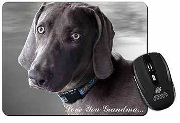 Weimaraner Dog 