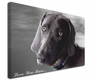 Weimaraner Dog 