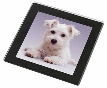 West Highland Terrier Dog Black Rim High Quality Glass Coaster