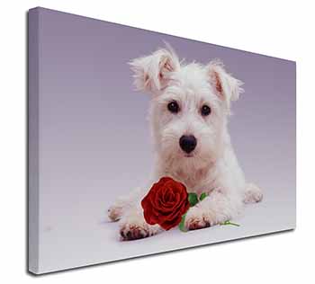 West Highland Terrier with Rose Canvas X-Large 30"x20" Wall Art Print