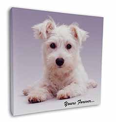 West Highland Terrier 