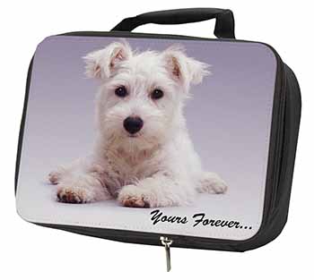 West Highland Terrier 