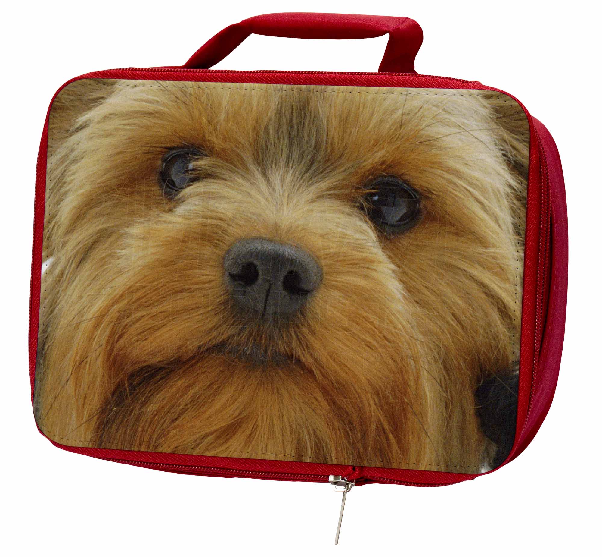 dog lunch boxes