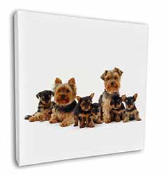 Yorkshire Terrier Dogs Square Canvas 12"x12" Wall Art Picture Print