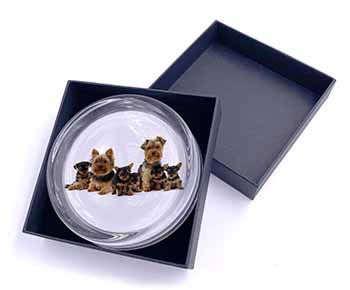 Yorkshire Terrier Dogs Glass Paperweight in Gift Box