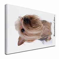 Yorkshire Terrier Dog-with Love Canvas X-Large 30"x20" Wall Art Print