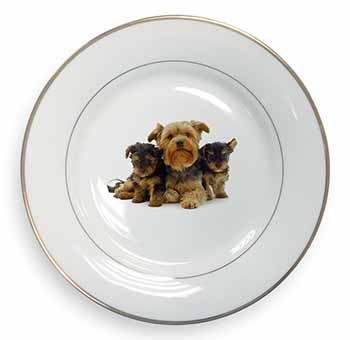 Yorkshire Terrier Dogs Gold Rim Plate Printed Full Colour in Gift Box