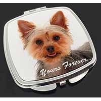 Yorkie Dog 