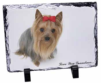 Yorkie with Red Bow Grandma, Stunning Photo Slate