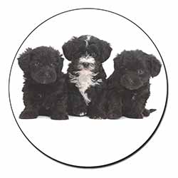 Yorkipoo Puppies Fridge Magnet Printed Full Colour