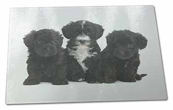 Large Glass Cutting Chopping Board Yorkipoo Puppies