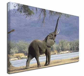 Baby Tuskers Elephant Canvas X-Large 30"x20" Wall Art Print