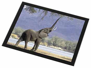 Baby Tuskers Elephant Black Rim High Quality Glass Placemat