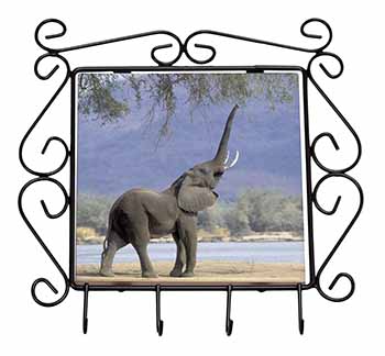 Baby Tuskers Elephant Wrought Iron Key Holder Hooks