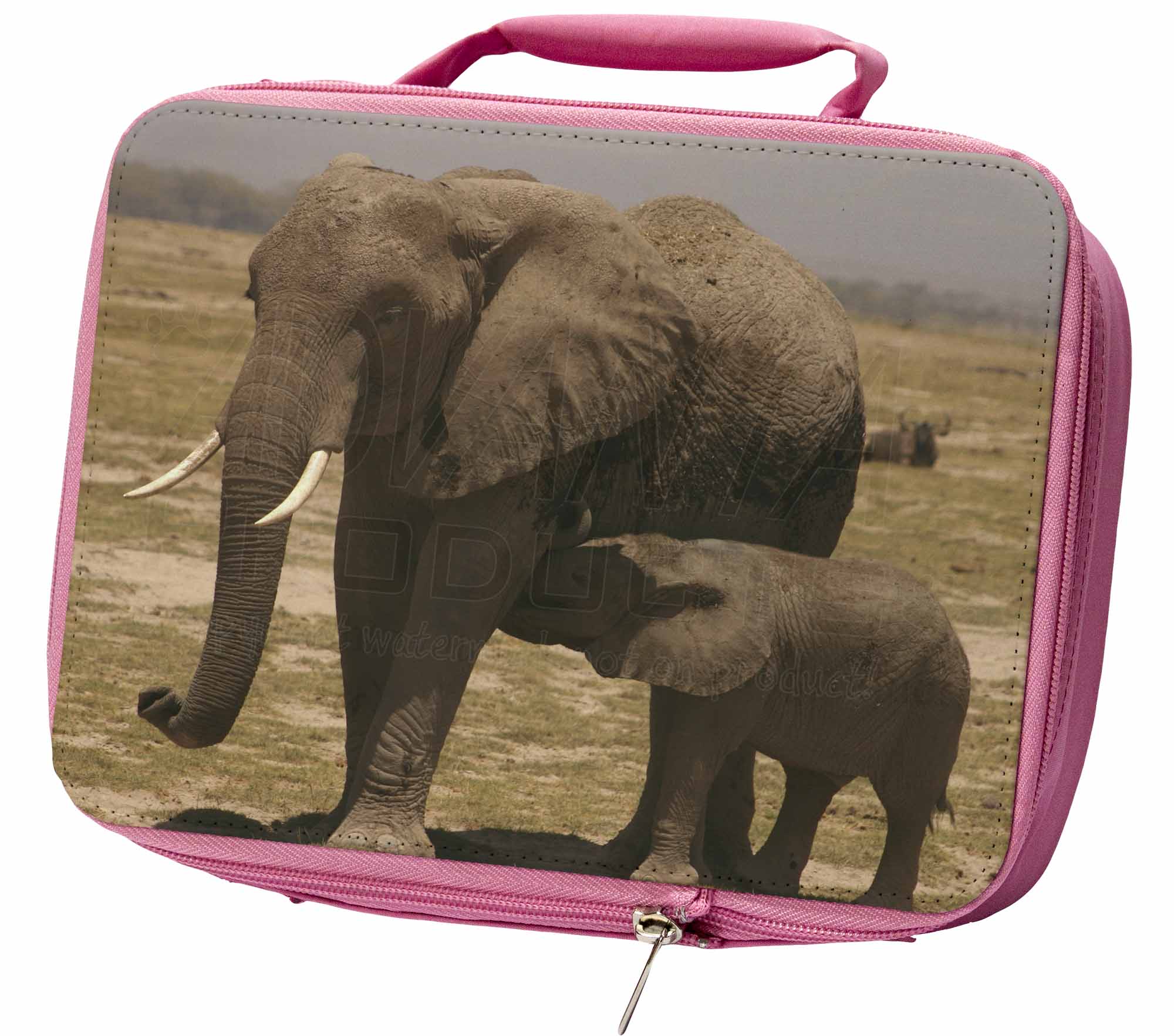 elephant lunch box