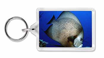 Funky Fish Photo Keyring Animal Gift