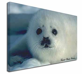 White Sea Lion 