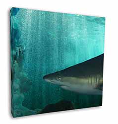 Shark Photo Square Canvas 12"x12" Wall Art Picture Print