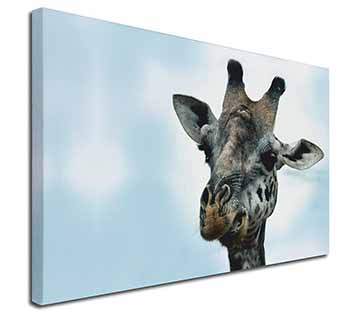 Cheeky Giraffes Face Canvas X-Large 30"x20" Wall Art Print