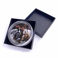 Horses in Love Animal Glass Paperweight in Gift Box