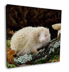 Albino Hedgehog Wildlife Square Canvas 12"x12" Wall Art Picture Print