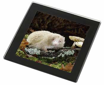 Albino Hedgehog Wildlife Black Rim High Quality Glass Coaster