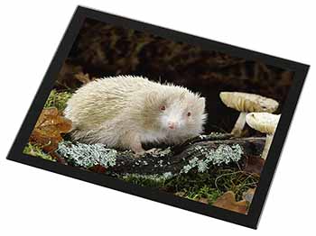 Albino Hedgehog Wildlife Black Rim High Quality Glass Placemat