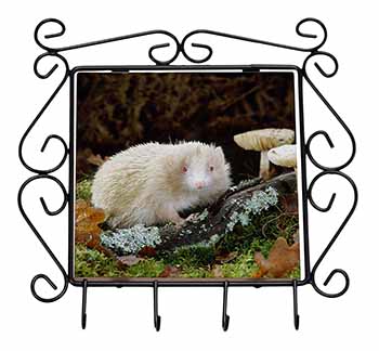 Albino Hedgehog Wildlife Wrought Iron Key Holder Hooks