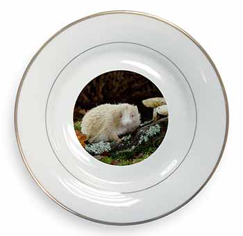 Albino Hedgehog Wildlife Gold Rim Plate Printed Full Colour in Gift Box