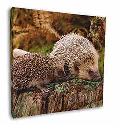 Mother and Baby Hedgehog Square Canvas 12"x12" Wall Art Picture Print